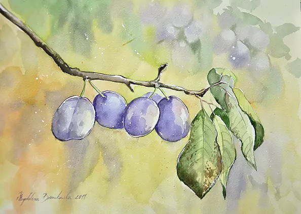 Magdalena Bronakowska - Plum