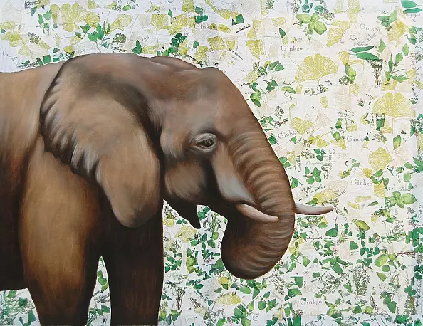 Amelia Augustyn - elephant
