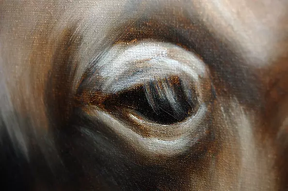 Amelia Augustyn - elephant