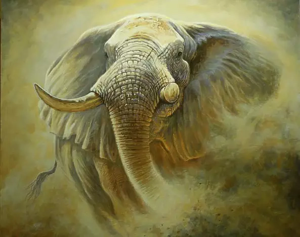 Michał Nowakowski - Słońce i pył sawanny