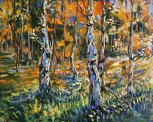 Dominika Kruk - Zięba - Słońce w lesie