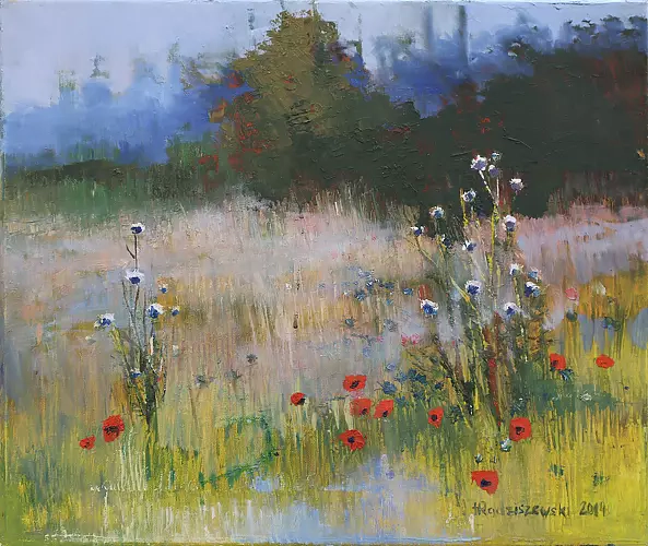 Henryk Radziszewski - Słoneczna Polana