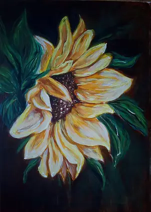 Jowita Agnieszka Kotów - sunflower