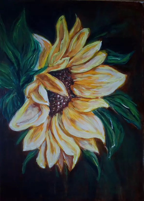 Jowita Agnieszka Kotów - sunflower