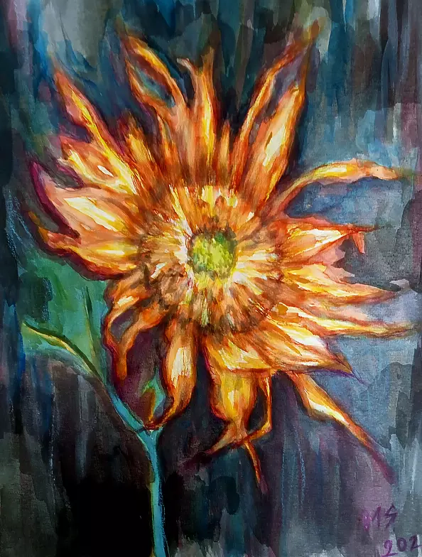 Marzena Salwowska - Słonecznik i Demony Wojny nr 2