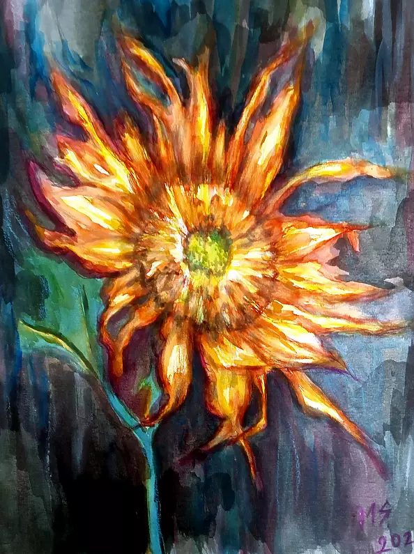 Marzena Salwowska - Słonecznik i Demony Wojny nr 2