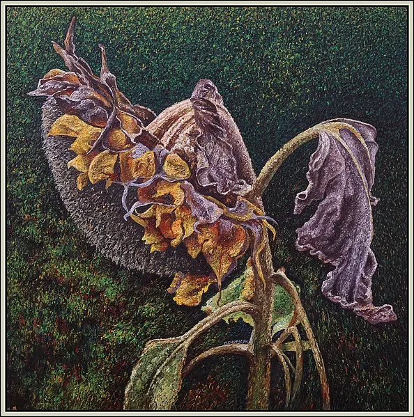 Marek Chomczyk - Sunflower