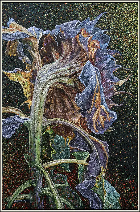 Marek Chomczyk - Słonecznik