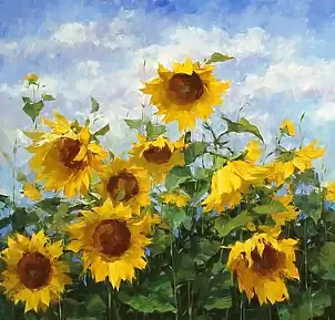 Emilia Czupryńska, Sunflowers, Oil painting - canvas, 90 x 90