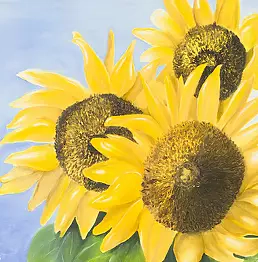 Barbara Rzychoń - Sunflowers.
