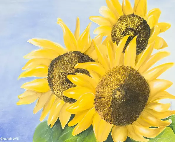 Barbara Rzychoń - Sunflowers.