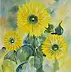 Ilona Milewska - Sunflowers