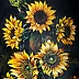 Iwona Ostaszewska - Tournesols