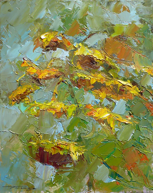 Krzysztof Tracz - Słoneczniki