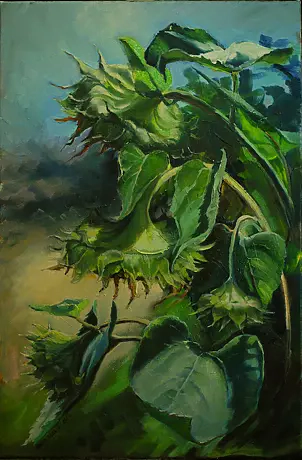 Maria Bujała - Słoneczniki