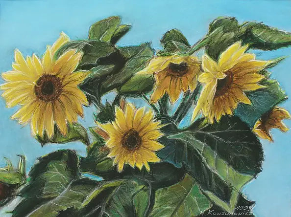Mirosław Kowzanowicz - Sunflowers