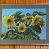Mirosław Kowzanowicz - Sunflowers