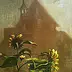 Marek Kubski - Sunflowers