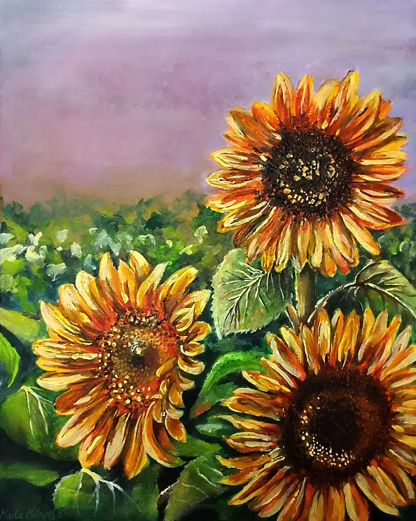 Marta Milewska - Sunflowers