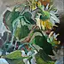 Maria Rutkowska - Sunflowers