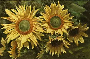   - Sunflowers