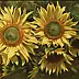 Małgorzata Sadowska Majewska - Sunflowers