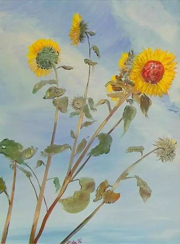 Jadwiga Rudnicka - Słoneczniki na wietrze