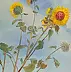 Jadwiga Rudnicka - Sonnenblumen im Wind