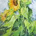 Tadeusz Gazda - Sunflowers