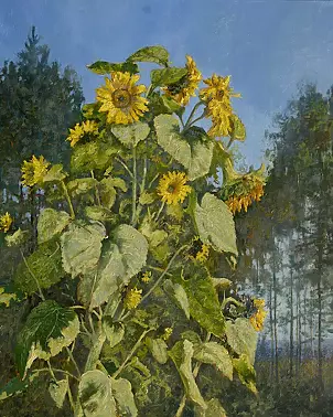 Wojciech Górecki - Sunflowers