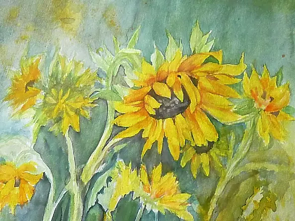 Wieter Wieter - Sunflowers