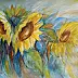 Zofia Świat - Sunflowers