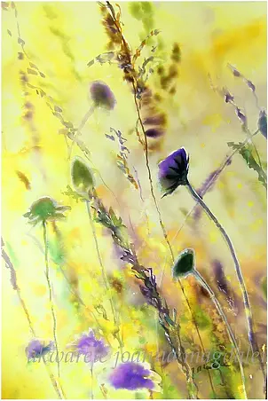 Joanna Magdalena - Sunny