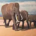 Jacek Syguła - Słonie