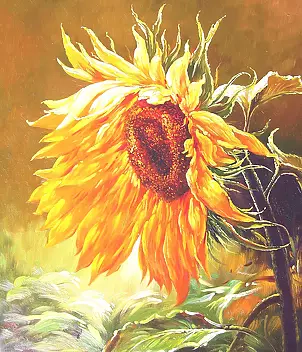 Stanisław Górski - Sonnenblume