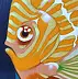 federico cortese - Small fish