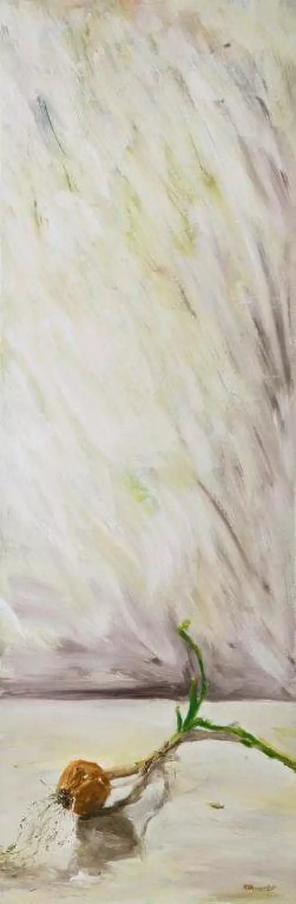 Katarzyna Chodoń - Śmierć Cebuli 