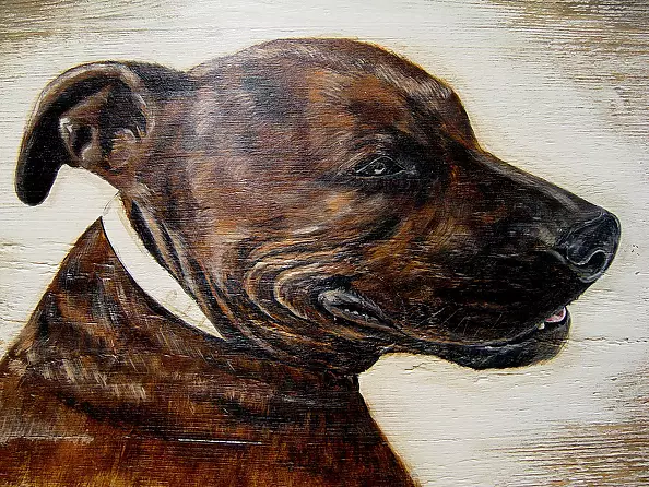 Katarzyna Niemczak - smile friend