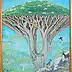 Aleksandra Gaweł Krajska - dragon tree