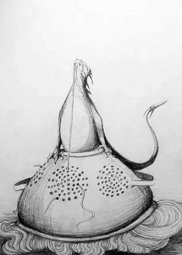 Adriana Laube - Dragon et spaghetti