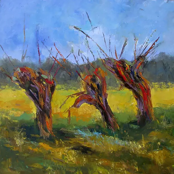 Anna Wąsikiewicz - Smólnik 3 wierzby 2014r