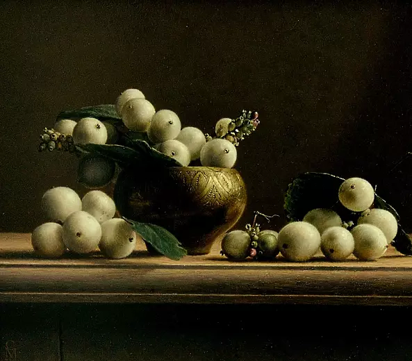 Maciej Cichocki - Śnieguliczki