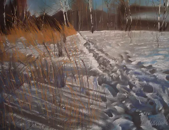 Andrzej Siewierski - Snow tracks behind the house