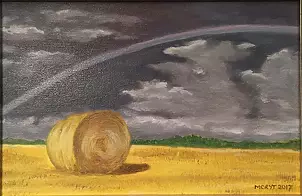   - Snopek on the field and rainbow - 2017