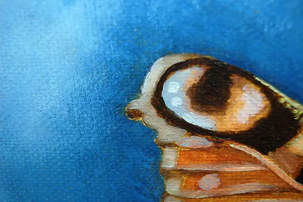 Amelia Augustyn - dreams