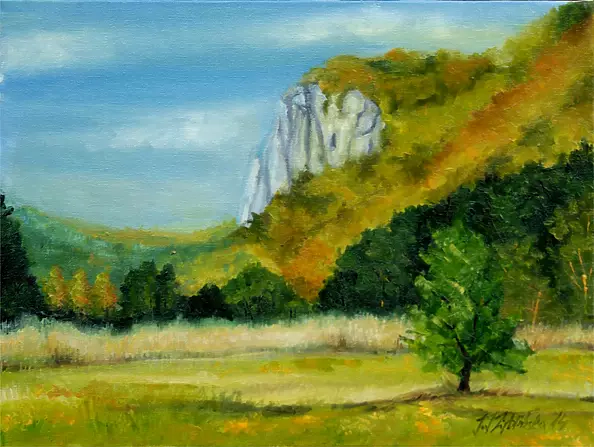 Joanna Inga Zięblińska - Sokolica