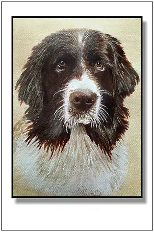 Jolanta Dusza - sonia