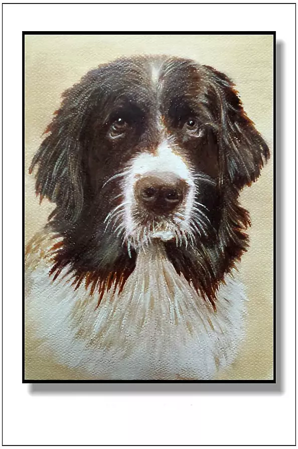 Jolanta Dusza - Sonia