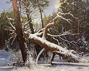 Piotr Mruk - pine Insurgents