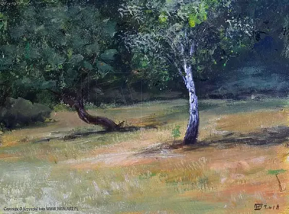 Krzysztof Iwin - Sosna i brzoza nad jeziorem Chechło-Nakło